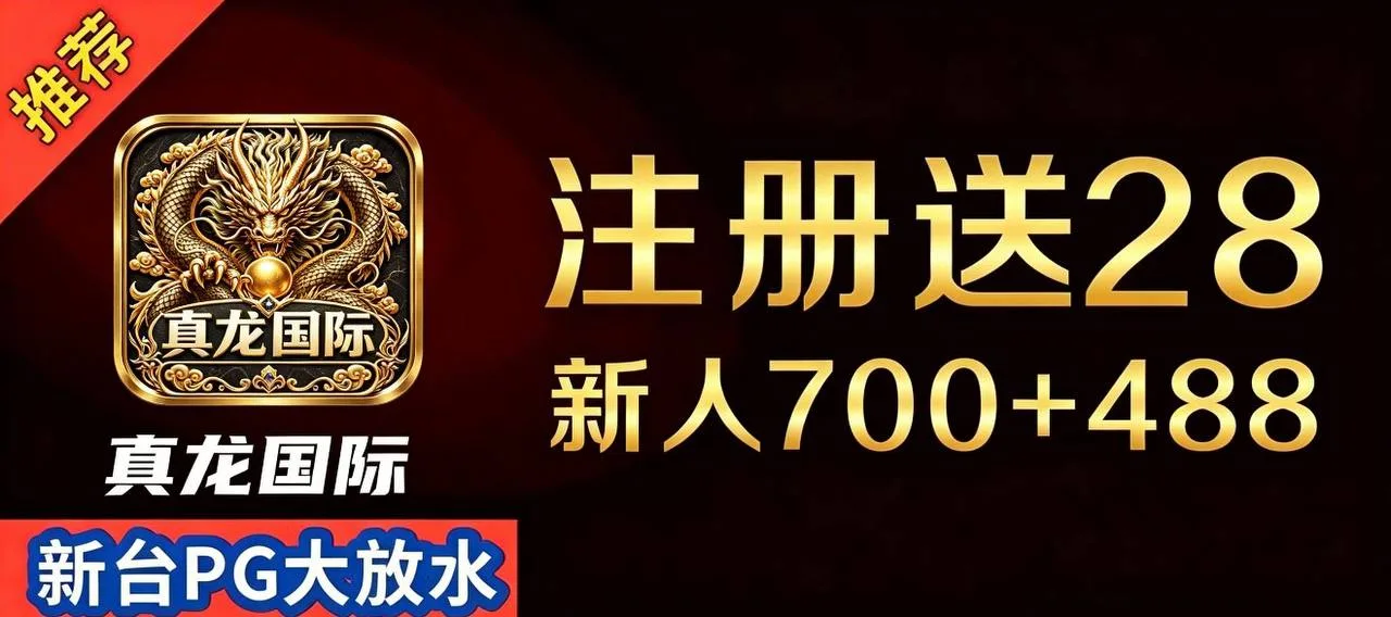 真龙国际